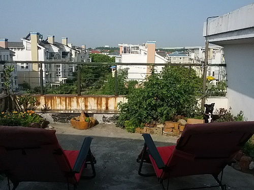 2200元/月独享静谧 莘闵别墅区丽水华庭带大露台单间直租